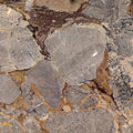 Breccia Bruno Honed.jpg