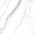 Calacatta Nif