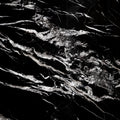 Nero Black 79463