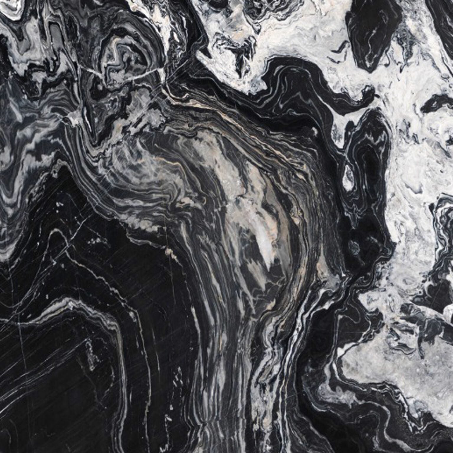 Nero Picasso Black