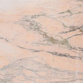 Rosa Aurora 74644